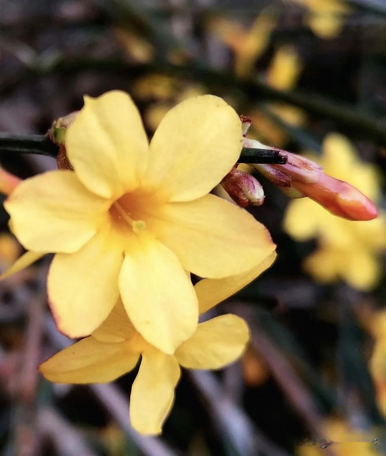 我是不是病了啊！

以前不喜欢，且反感的事，如今自己也突然喜欢做了……

比如: