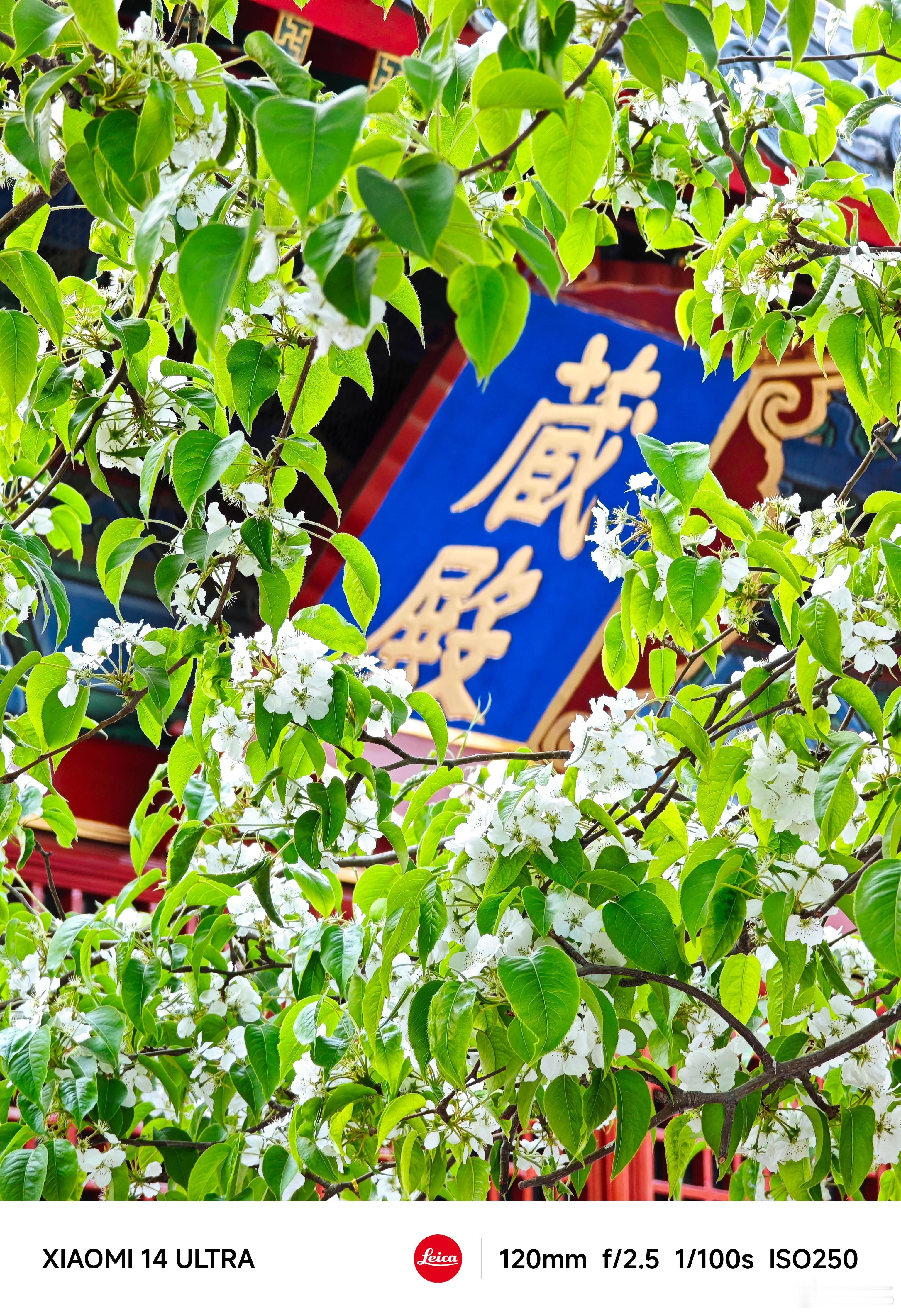 #每天早起打卡#早上好，香港！ ​​​