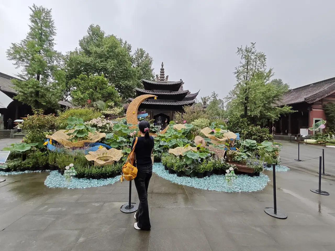 前天也就是6月24日是杭州西湖日，来看看这天的杭州钱王祠举办的西湖莲荷展是多么的