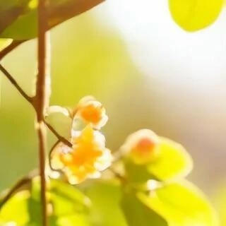 阳光信用自己的人生，不需要和谁去比较，允许自己做自己，也允许别人做自己，才能活出