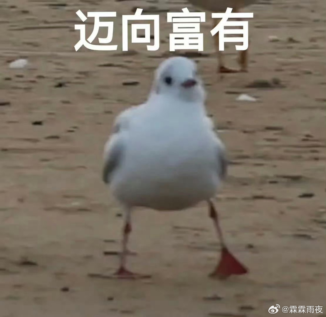 存款百万利息不够生活费说多了都是泪啊，谁能带带我，让我实现财富自由的终极目标 攒