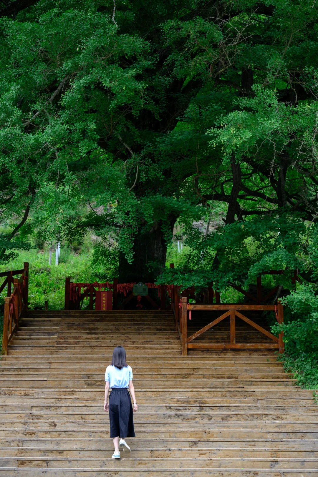 22℃的夏天｜被低估的宝藏避暑地，在广元‼️