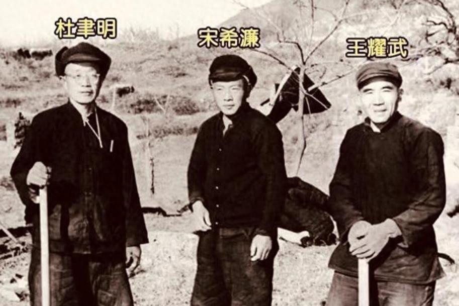 1975年国民党战犯获特赦后，有十人申请前往台湾，他们最终都实现愿望了吗？
19