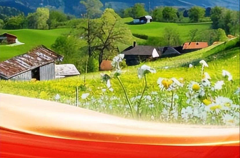 汇聚绿色动能 构建共治格局——美丽中国引领高质量发展新阶段

2026年，中国发