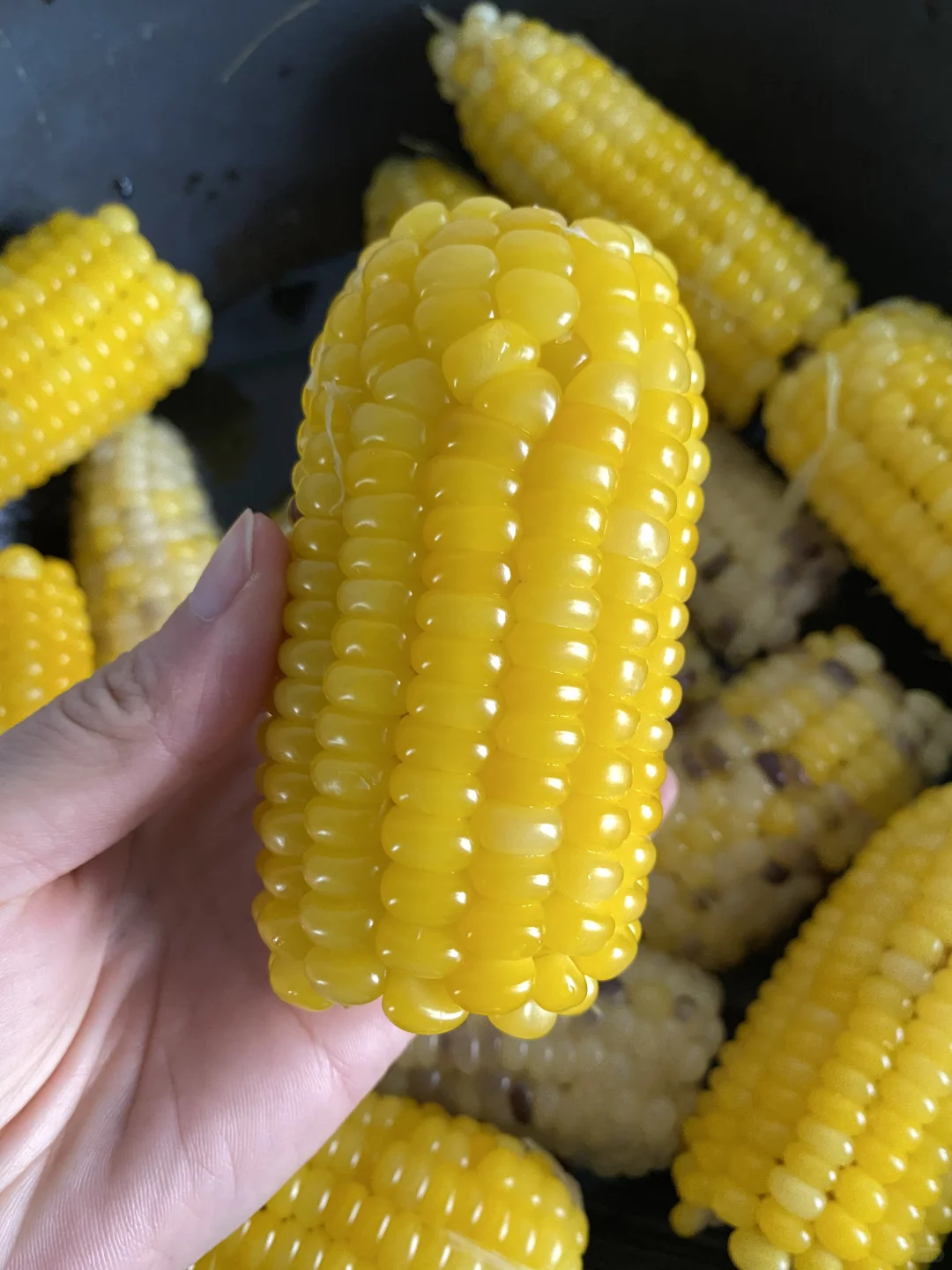 热乎的东北黏玉米出锅啦😋