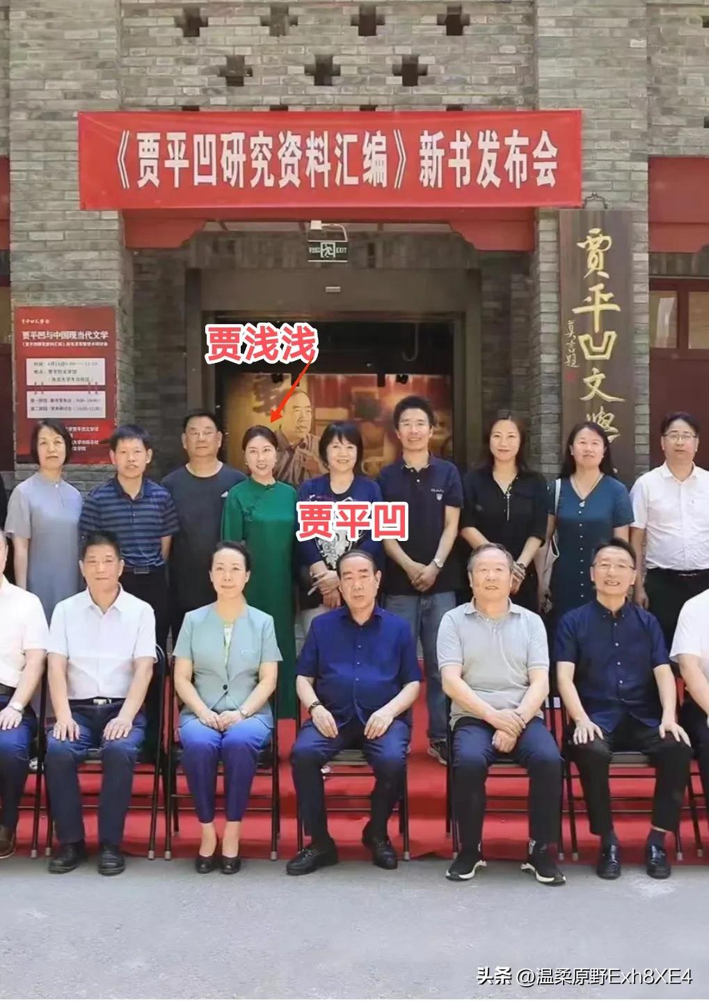 现在再厚的背景，也拦不住学术不端被处理了！贾平凹之女贾浅浅，发表的16篇论文，1