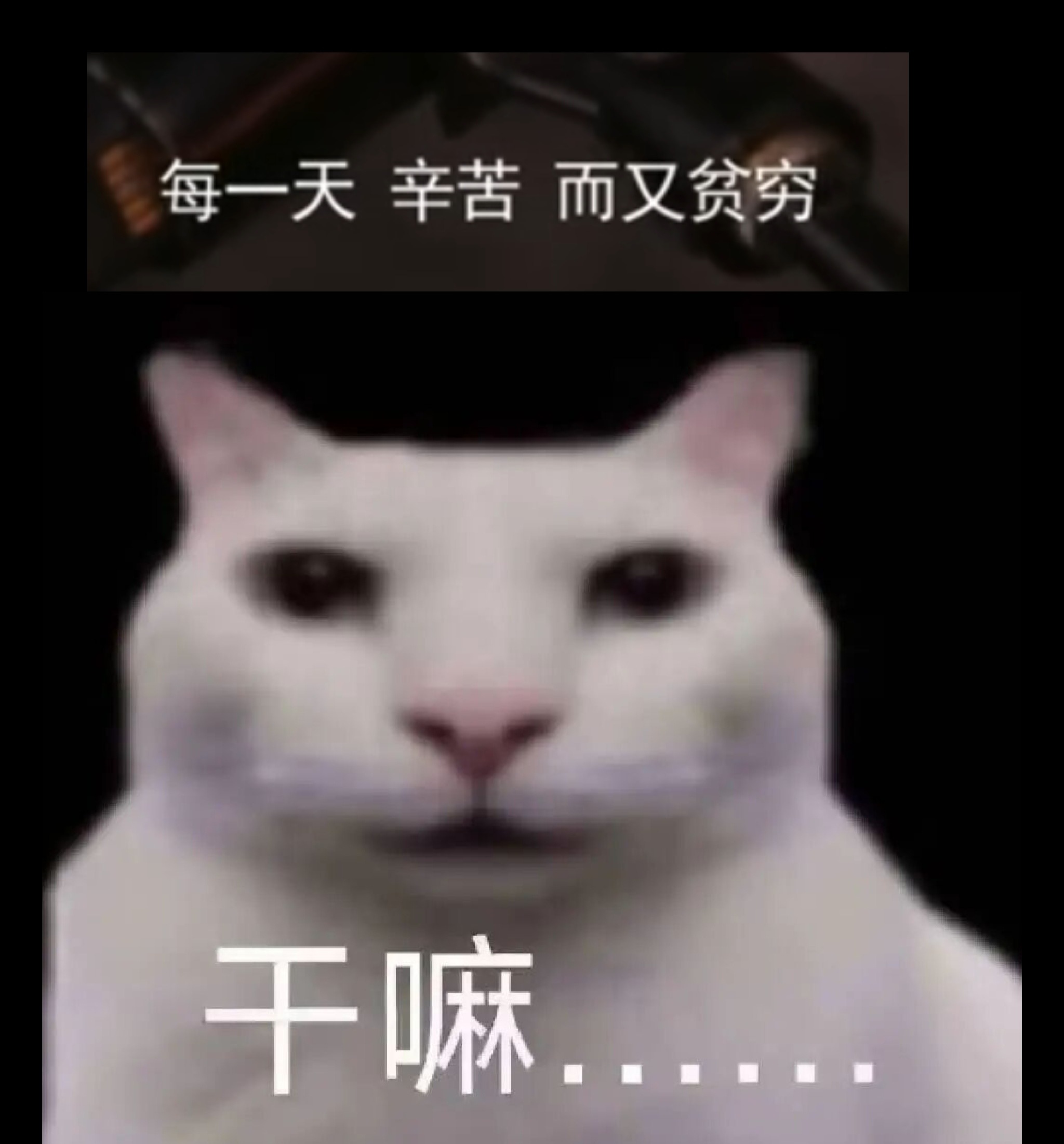 干嘛……… 