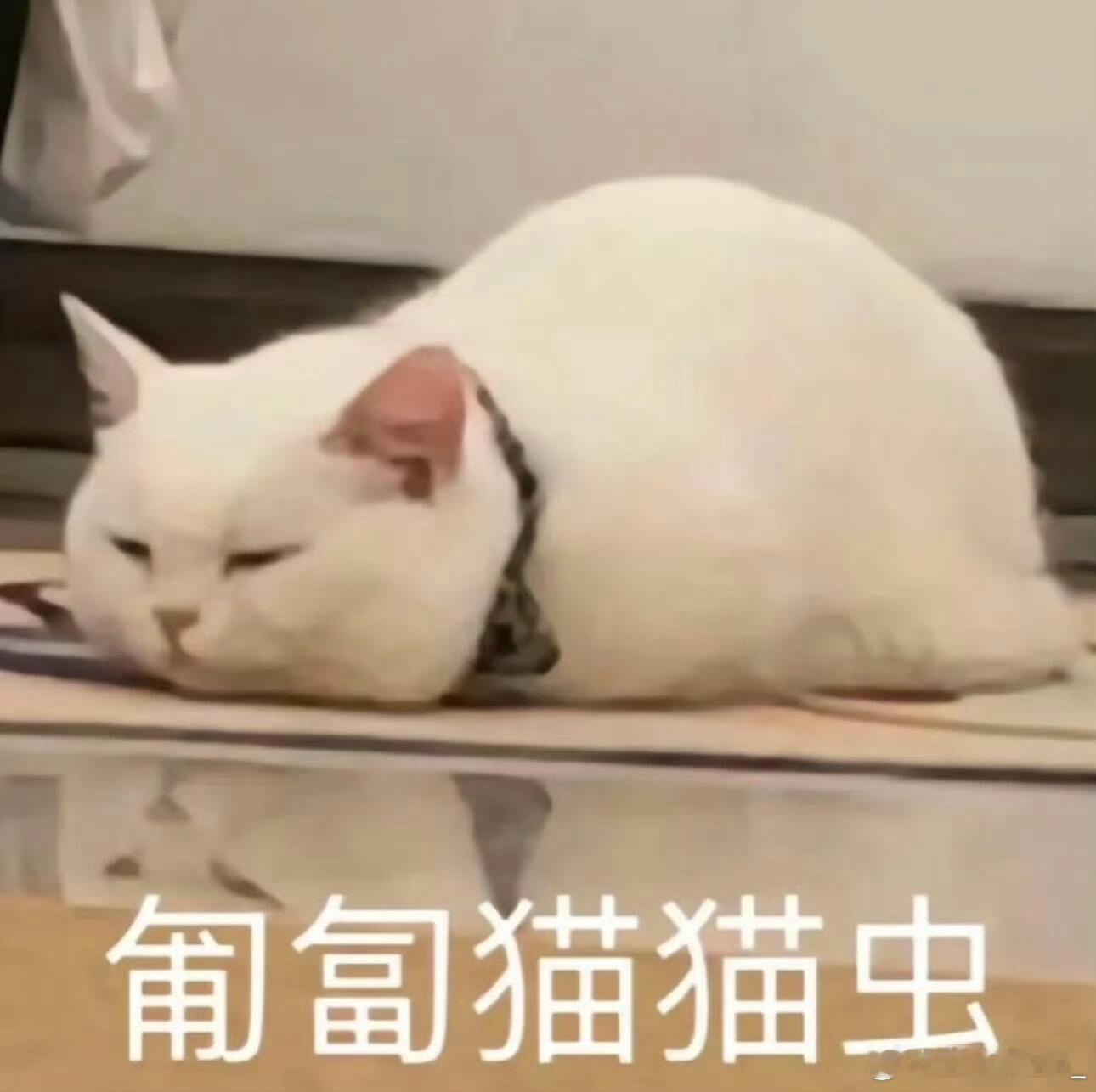 分享图片 ​​​