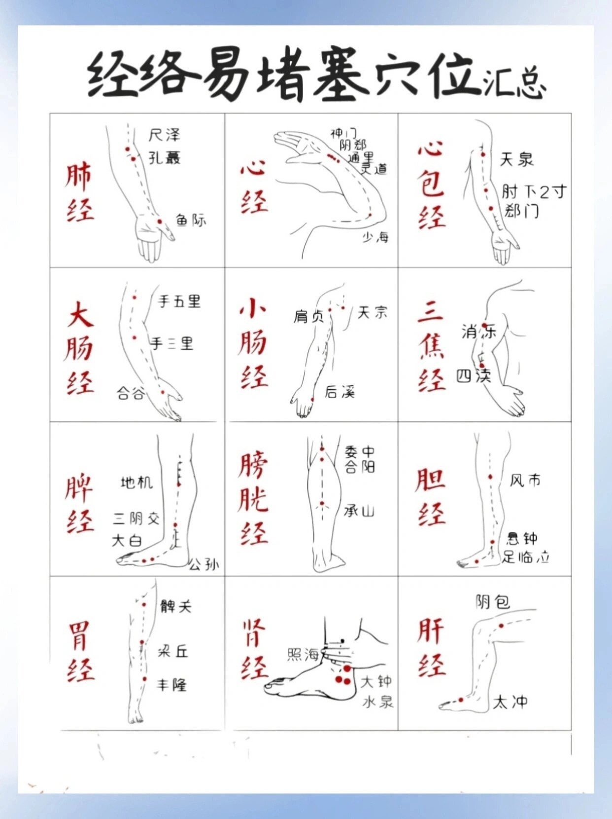 穴位是最好的保养品🎉🎉🎉🎉人体有十二条经络在全身运行，中医认为：经络是气