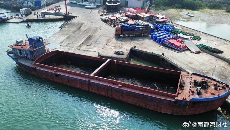 【#湛江查获境外走私松树29棵#，案值超600万！有“生态投毒”风险】#走私松树