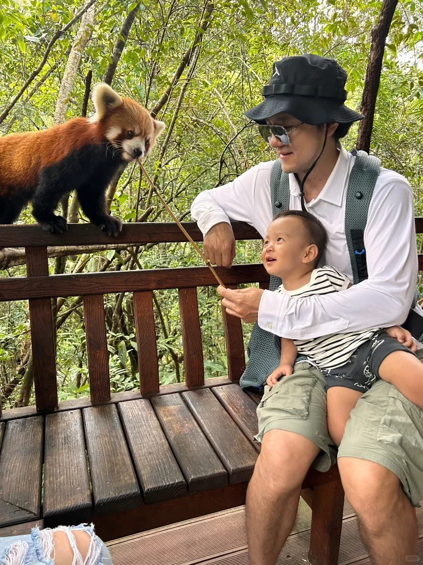 西双版纳现状，寒假带娃去的家长一定要慎重！
