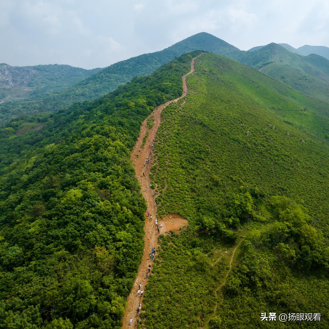 我们总爱蹲守传说中的“完美档期”：等暴富就环游世界，等清闲就黏着家人。

但生活