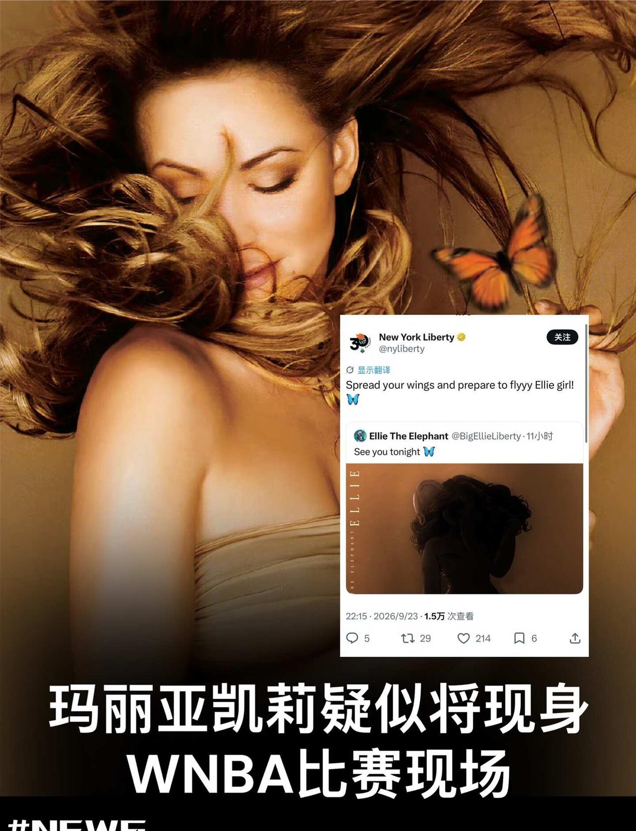 🏀玛丽亚凯莉疑似将现身WNBA比赛现场
WNBA纽约自由人队在社交平台发布一张