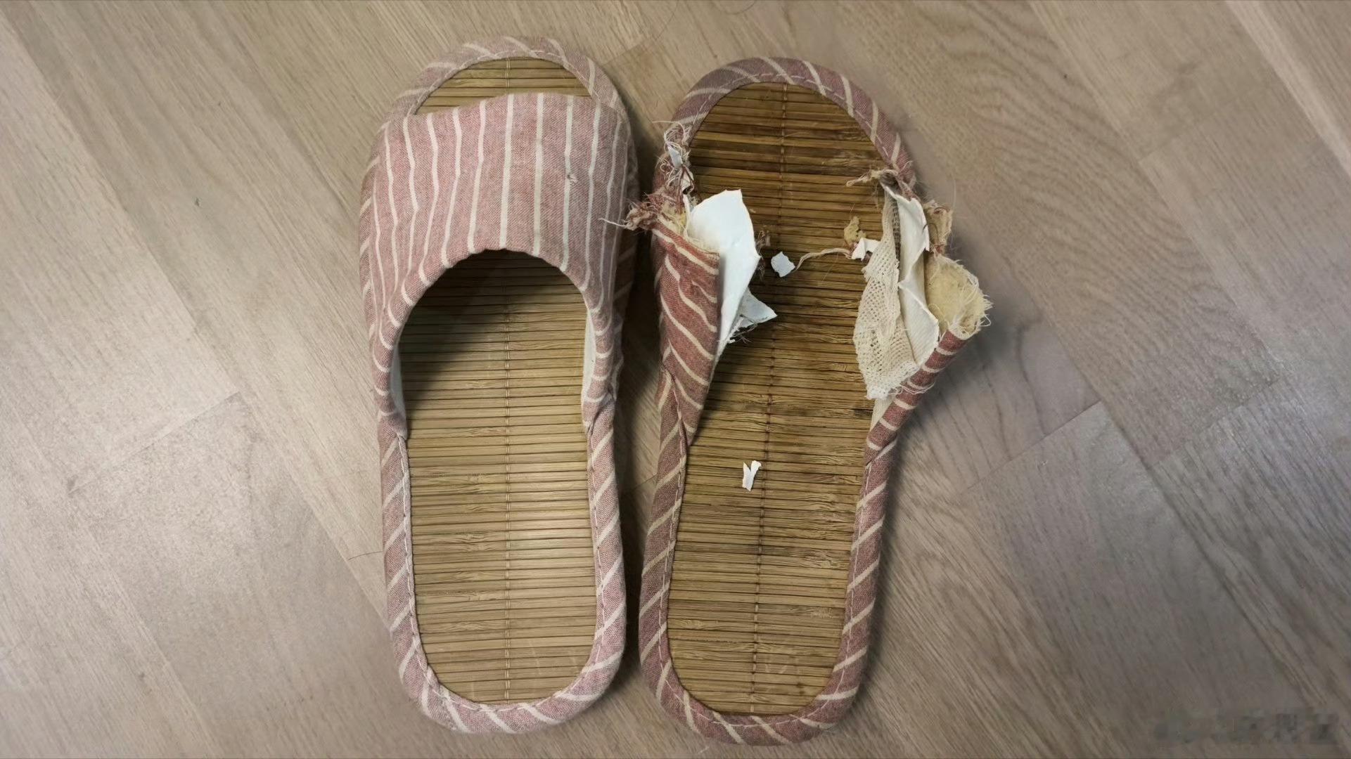 一张图证明你有狗 