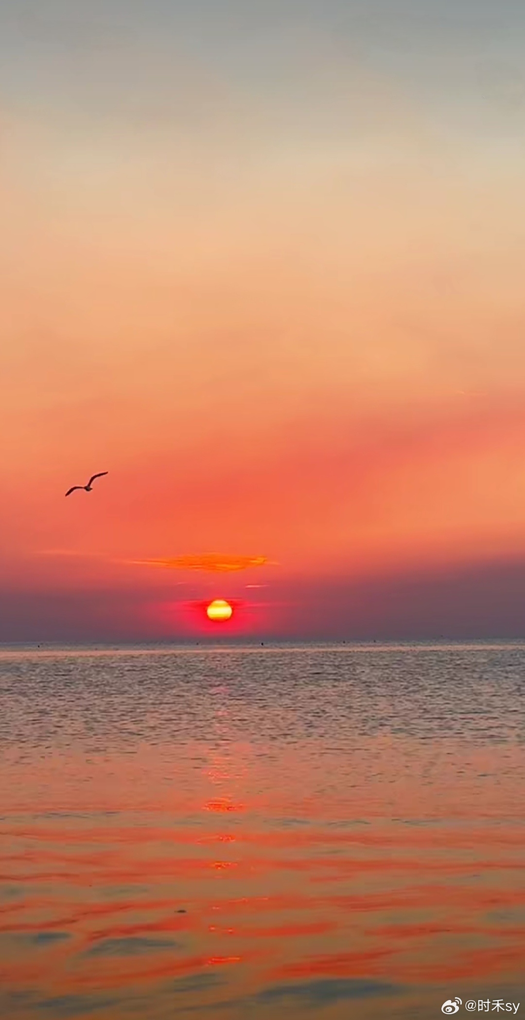 黄昏偷了太阳的酒，把天边都染醉了摄影随手拍摄影闪光的夏天生活手记