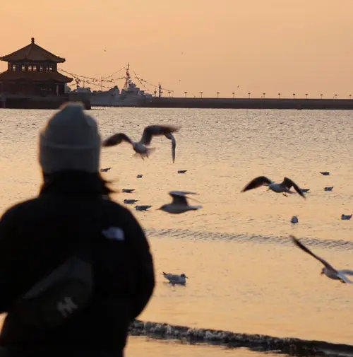 《被讨厌的勇气》有一段话感同身受：“关于自己的人生你能够做的就只有选择自己认为最