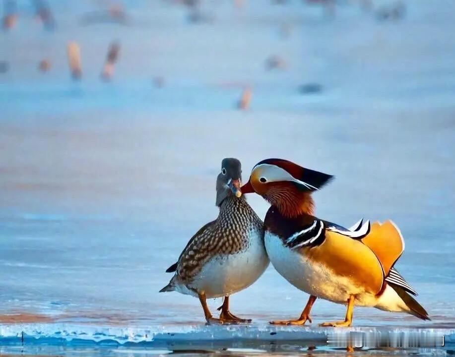 去年腊月二十三日，也就是小年的晚上，离婚出走一年多的妻子王慧给我打电话说：武汉疫