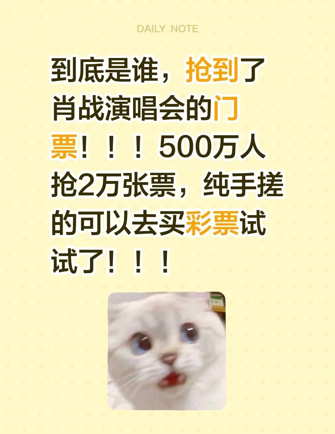 到底是谁，抢到了肖战演唱会的门票！！！500万人抢2万张票，纯手搓的可以去买彩票