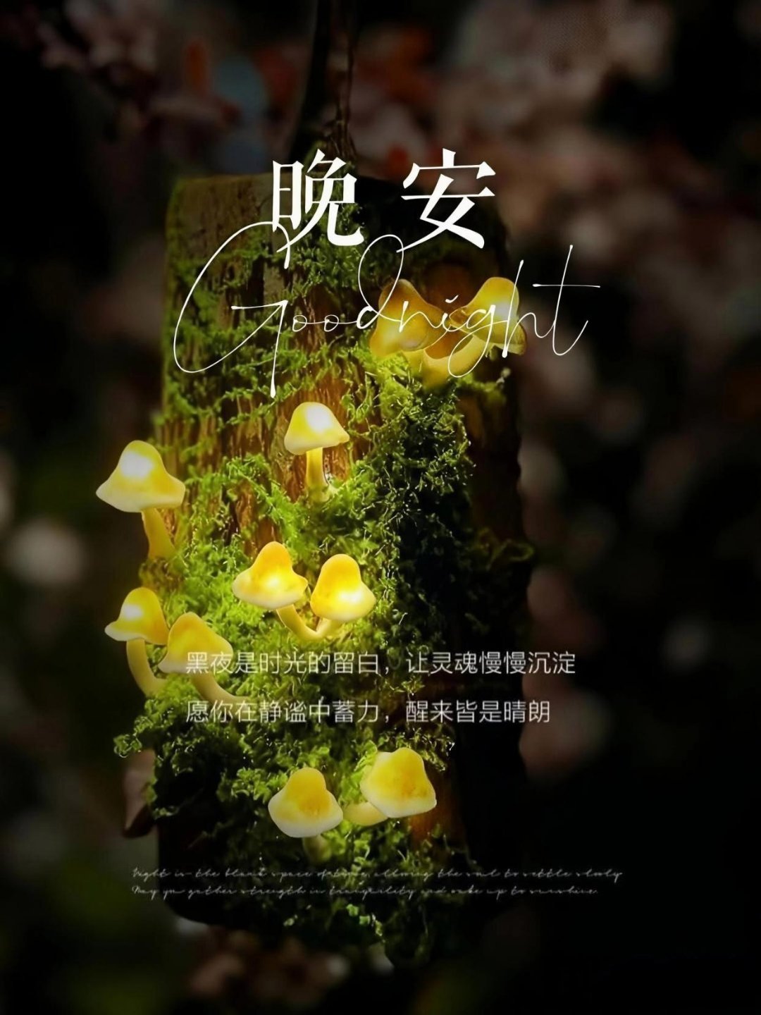 晚安 人生从没有绝对正确的选择，都是靠自己慢慢把路走对。不必盲从别人的声音，守住
