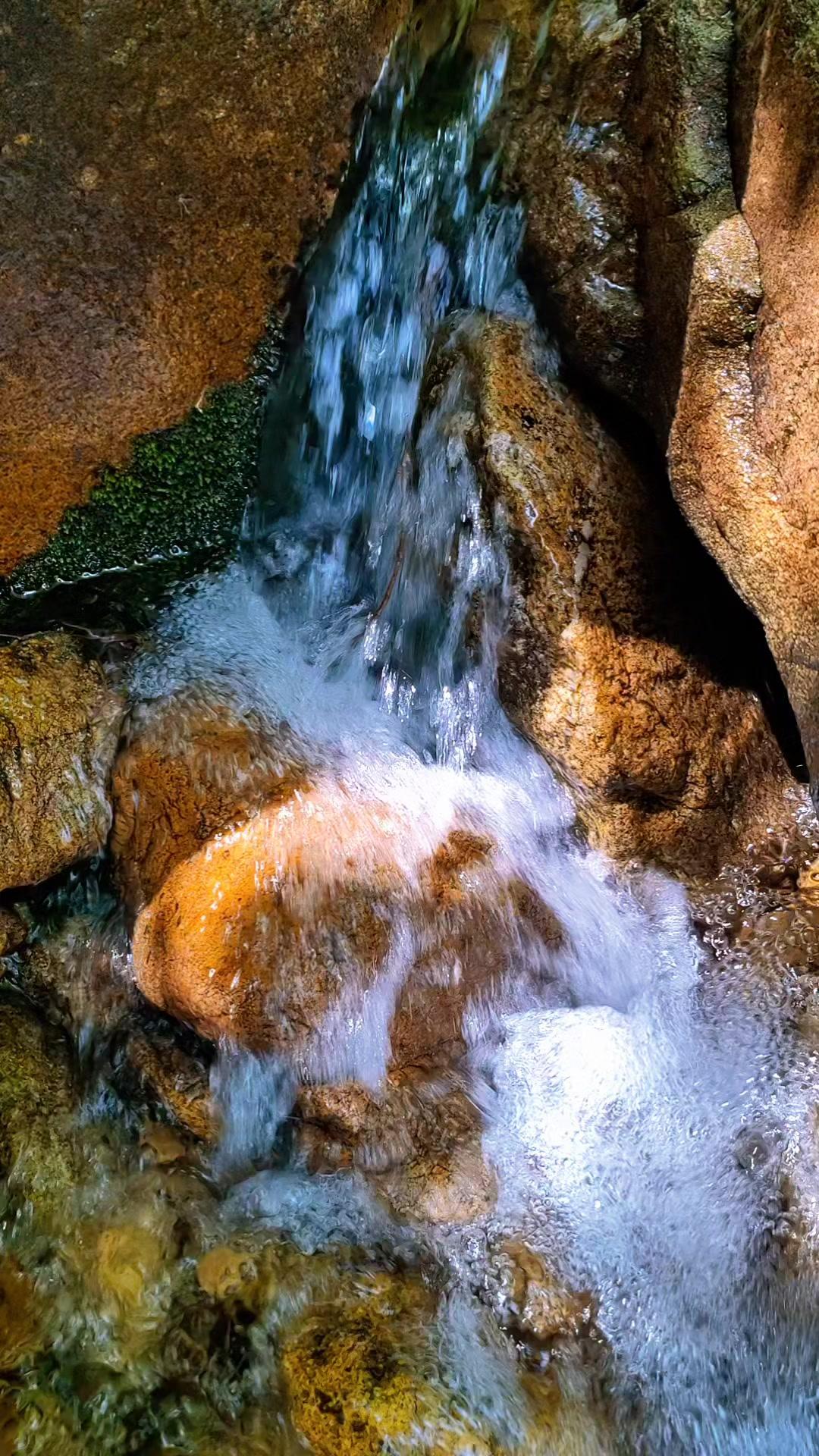 在城市待久了，总想逃离钢筋森林。这次钻进山林，才发现春天的真面目藏在这里！踩着松