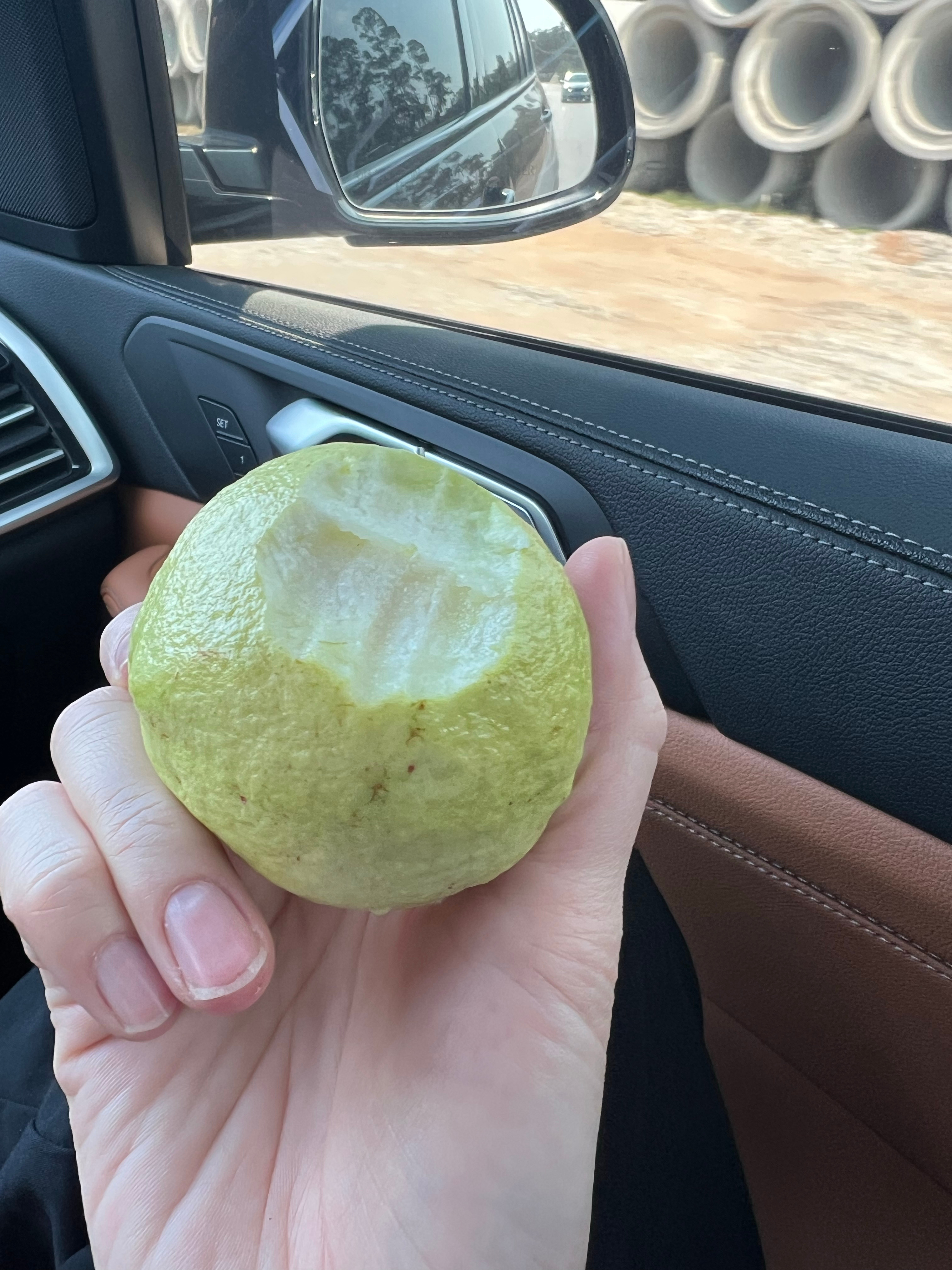 不知道米米奶奶去哪里买来的这个番石榴～真的太好吃了！是那种不是很大个的，脆脆甜甜