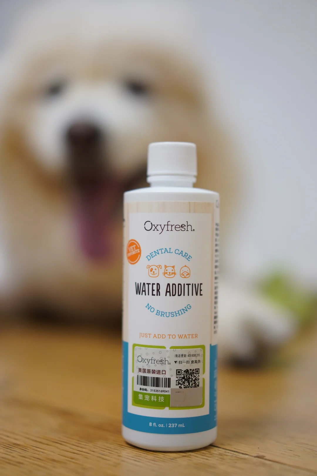 老年犬养护每一天都如履薄冰啊朋友们💦