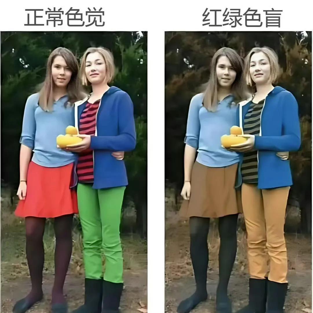 看图，证明你不是色盲

小时候就曾经想过，会不会其实我们每个人都是色盲，而且每个