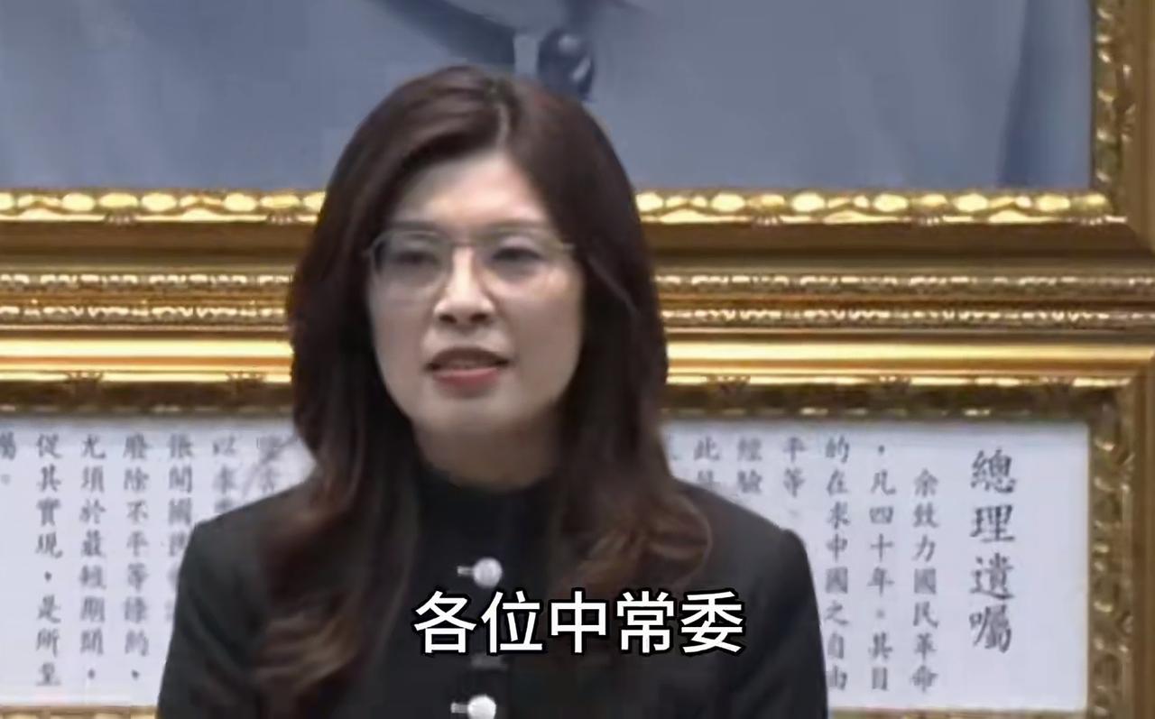 郑丽文身着中山装，向国民党中常委汇报访问大陆成果，自信满满！