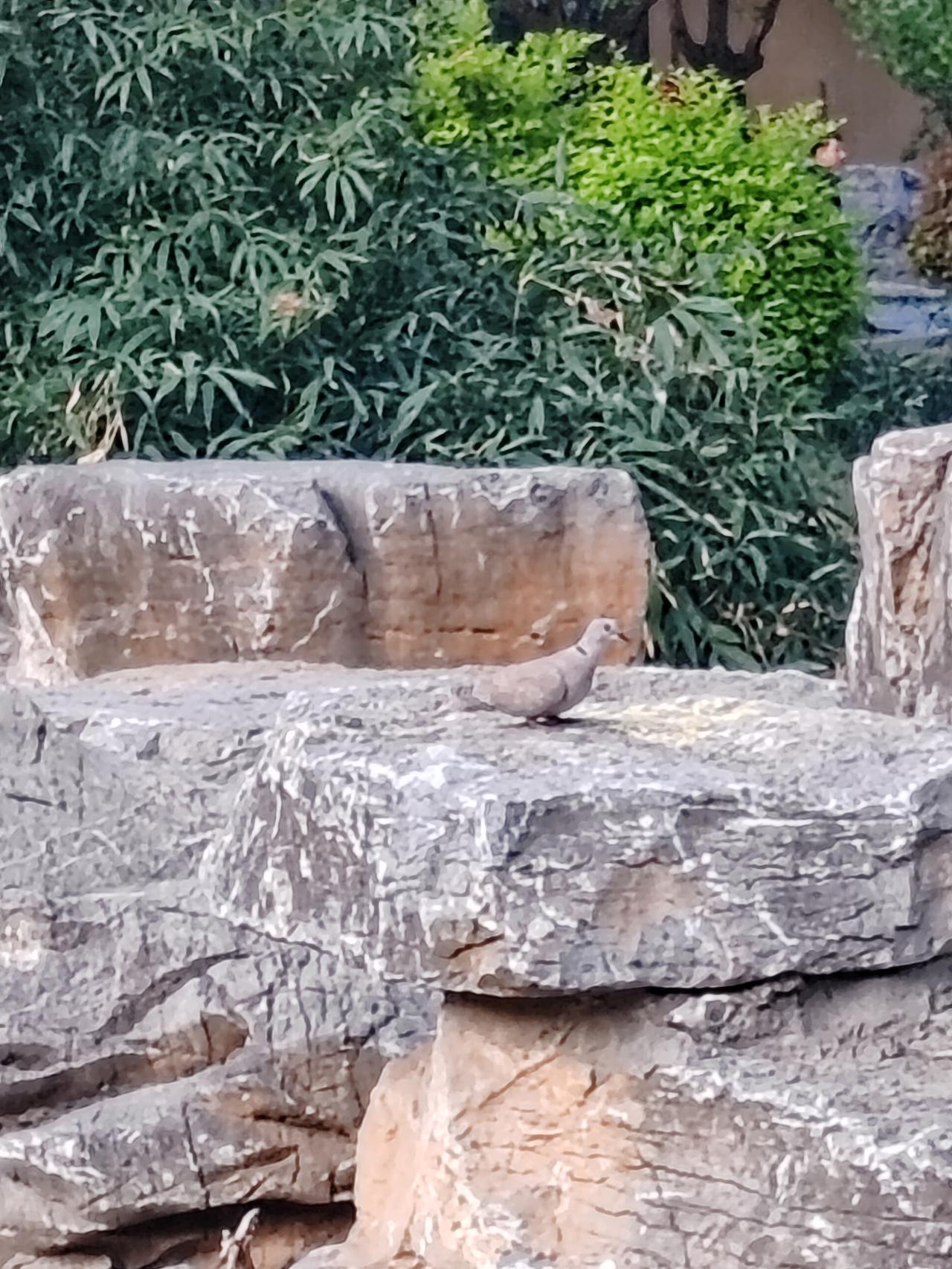 好加伙，世界上还有这事！