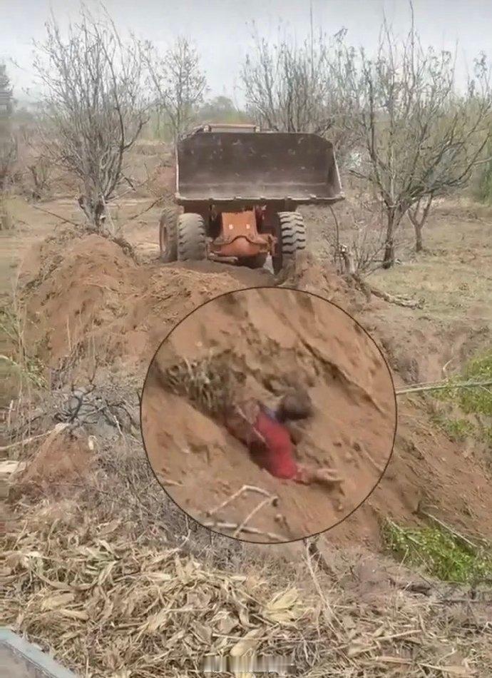 掩埋村民现场有多名穿着制服男子4月16日，山西代县水峪村原村支书任某某因土地纠纷