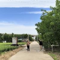 今天可是捡到宝了[偷笑][偷笑][偷笑]

前天昨天连续两天骑自行车打卡芍药地，