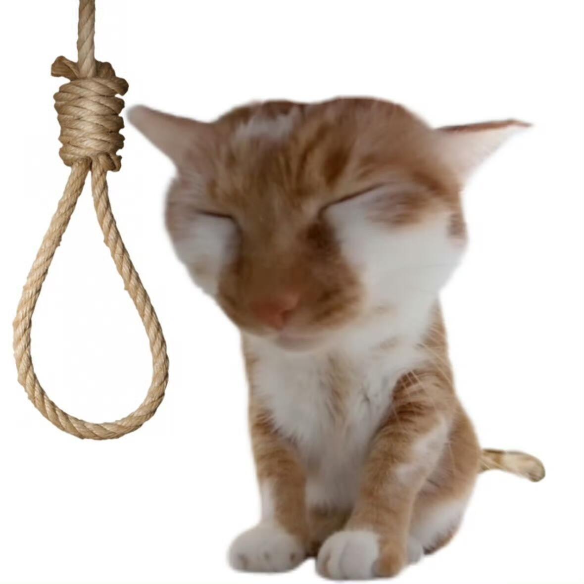 勤勤恳恳的蹭了一堆烂rs。。。。。 