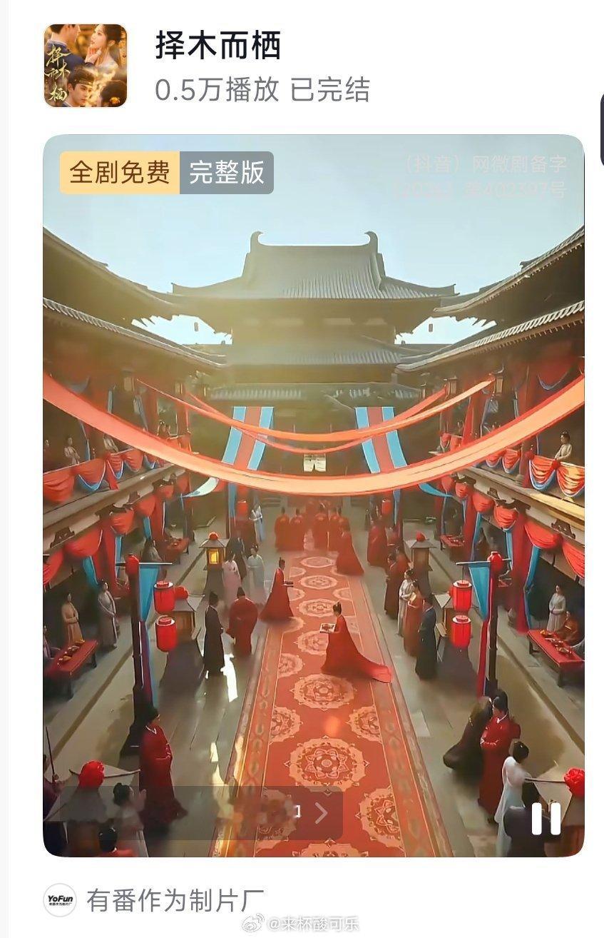 《今晚月光很美，茶香四溢》王燕飞 申浩男［68集 125分钟］《择木而栖》岳雨婷