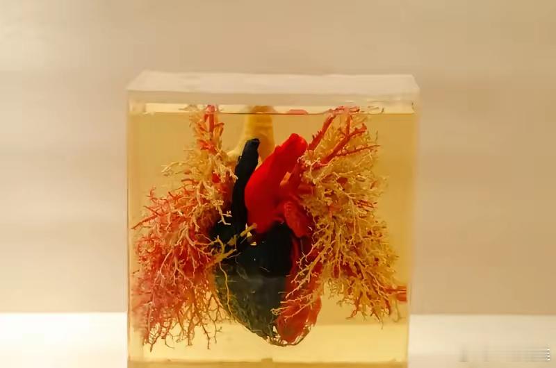 台湾歌手成功完成亚洲首例心脏和肝脏同时移植手术，供体从何而来？​​要知道，器官移