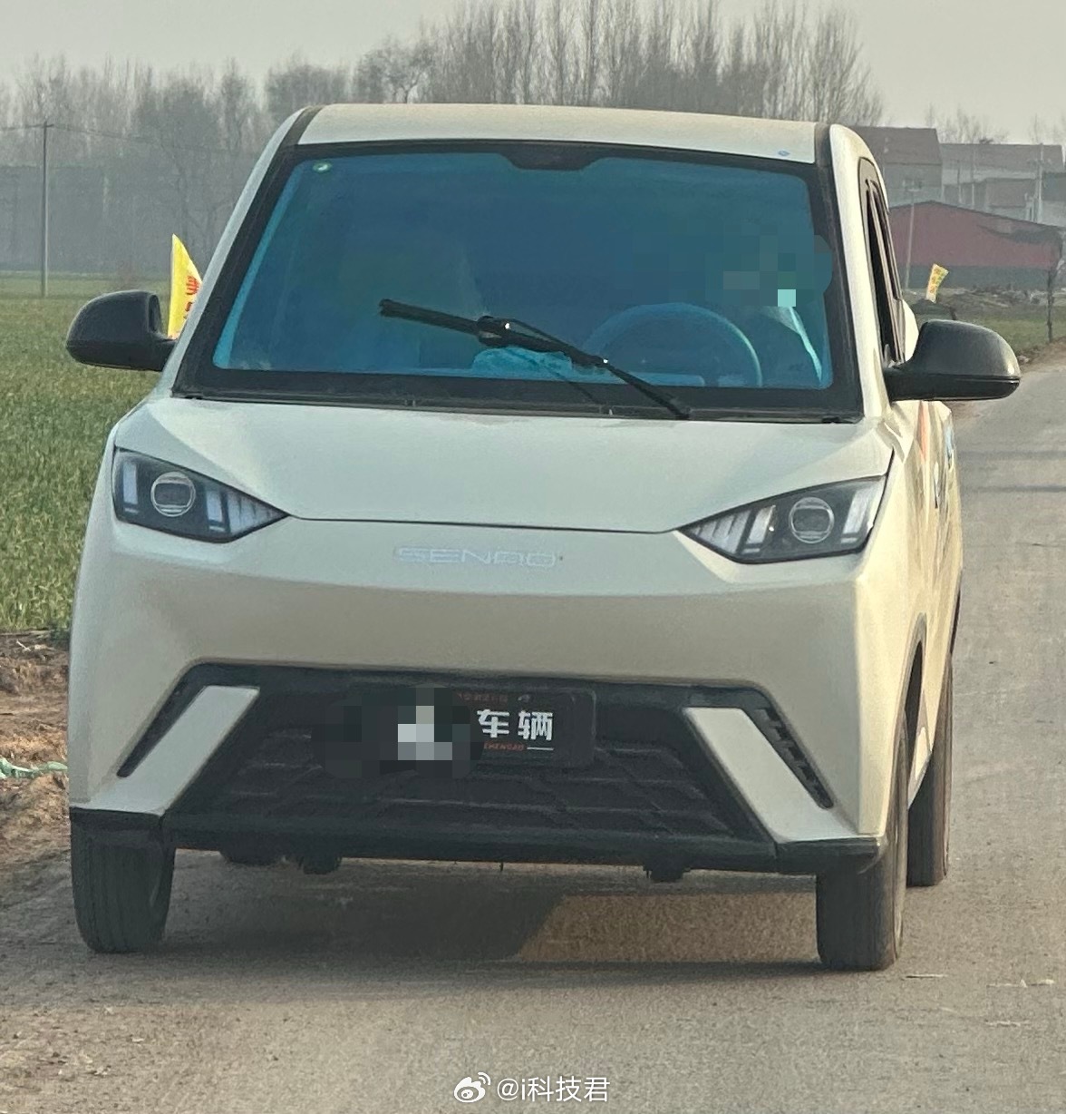 可能是卖的太火了，好多老头乐模仿比亚迪海鸥造的