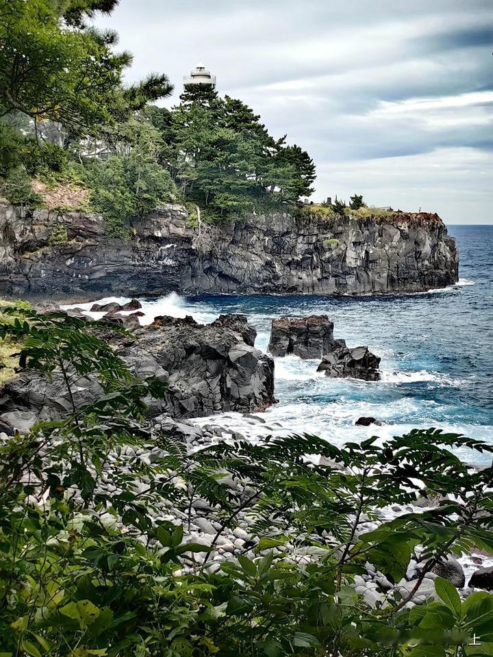 伊豆半岛的海浪
（二）城崎海岸门胁吊桥，花海公园邂逅美丽。

从住的小镇出发