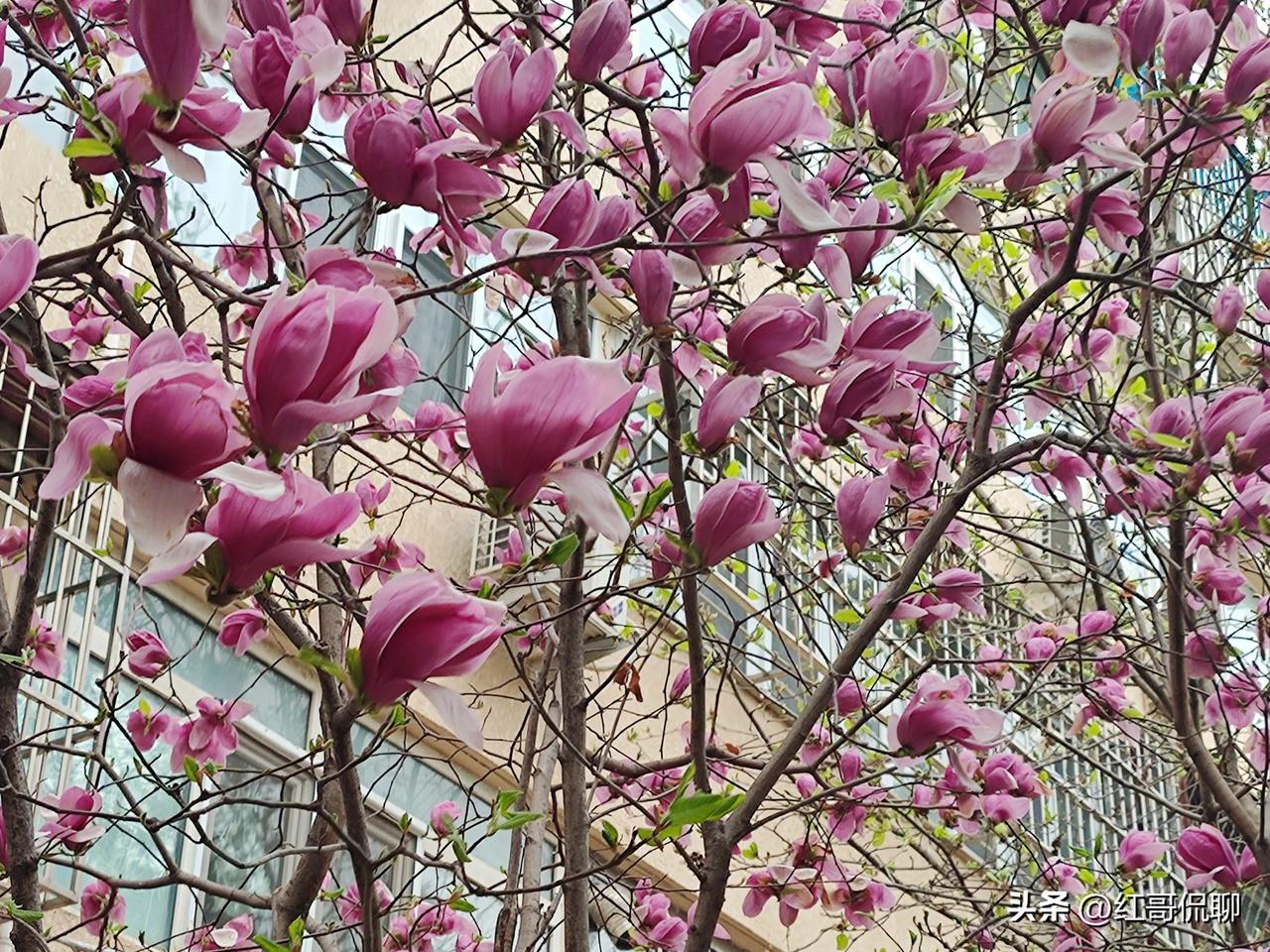 这里整理了父母的各种别称、雅称、方言称呼，分类型给你列全：
 
一、书面/文雅称