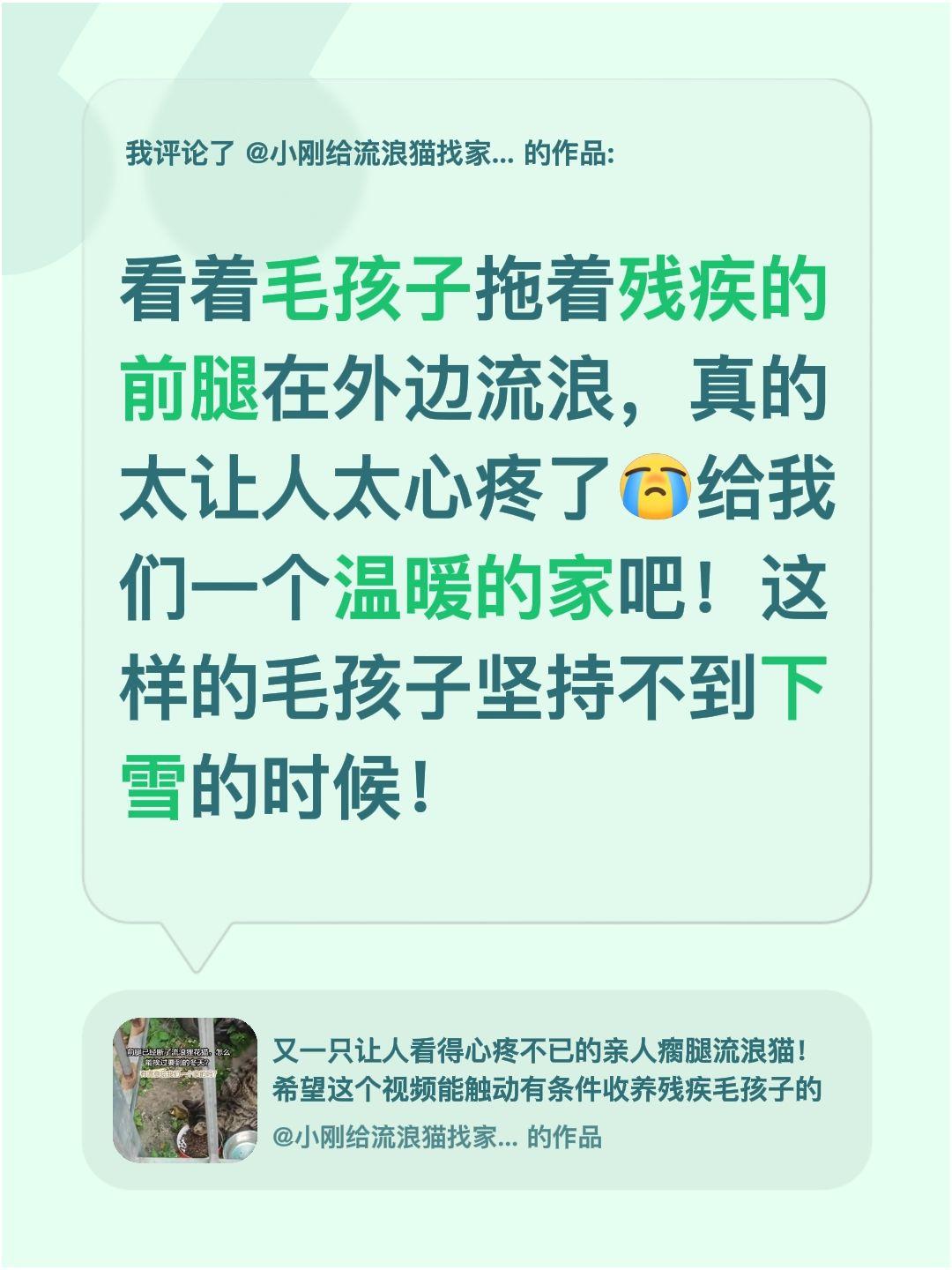 我评论了@小刚给流浪猫找家（沈阳和天津） 的作品：
看着毛孩子拖着残疾的前腿在外