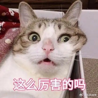 👇泰国人萨王凯7-5/6-0帕克斯打进温网第三轮，即时排名117。↓印尼人曾丽
