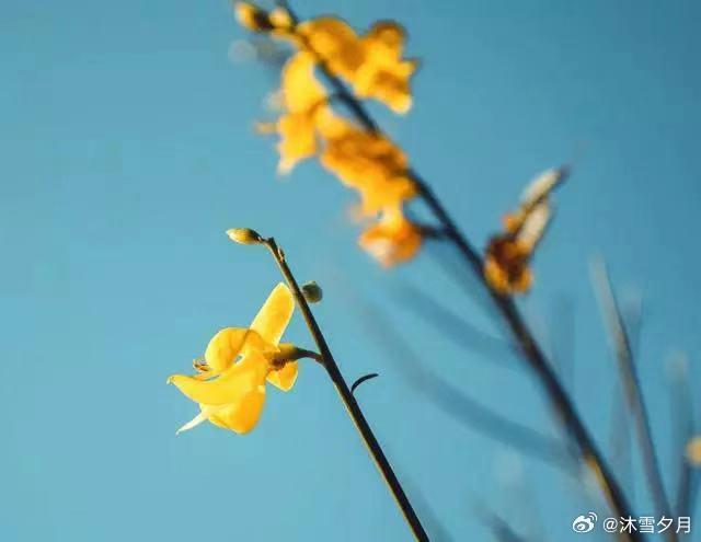 从小我就生活在家庭不和以及无休止的争吵中，我奶奶好吃懒做还每天骂我妈，挑拨我爸也