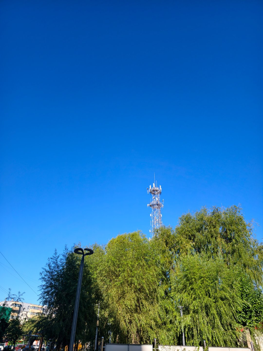九八，晴 ​​​