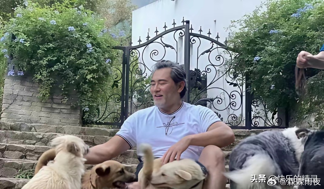 赵文瑄：一个美男子的结局，竟是64岁无儿无女，独居宁波乡下别墅。我记得能摘下面具