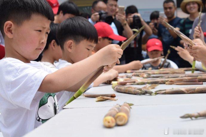 台州小笋打破季节限制让村民常年有钱赚 台州天台三州乡沙岭村依托500余亩高山竹林