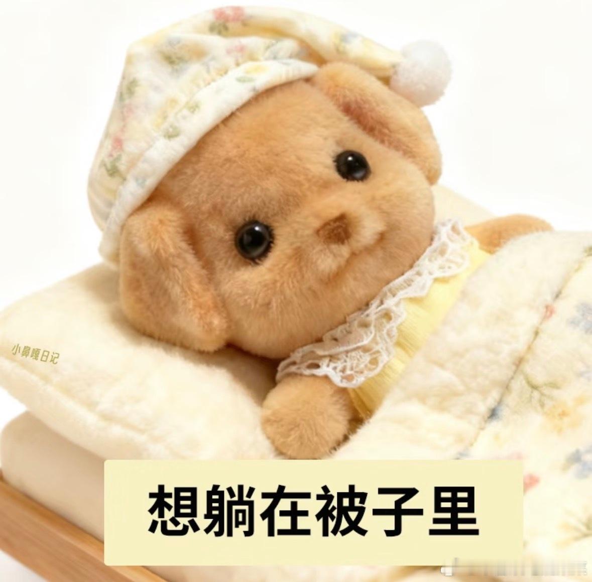 新的风暴已经出现 晚安💤 