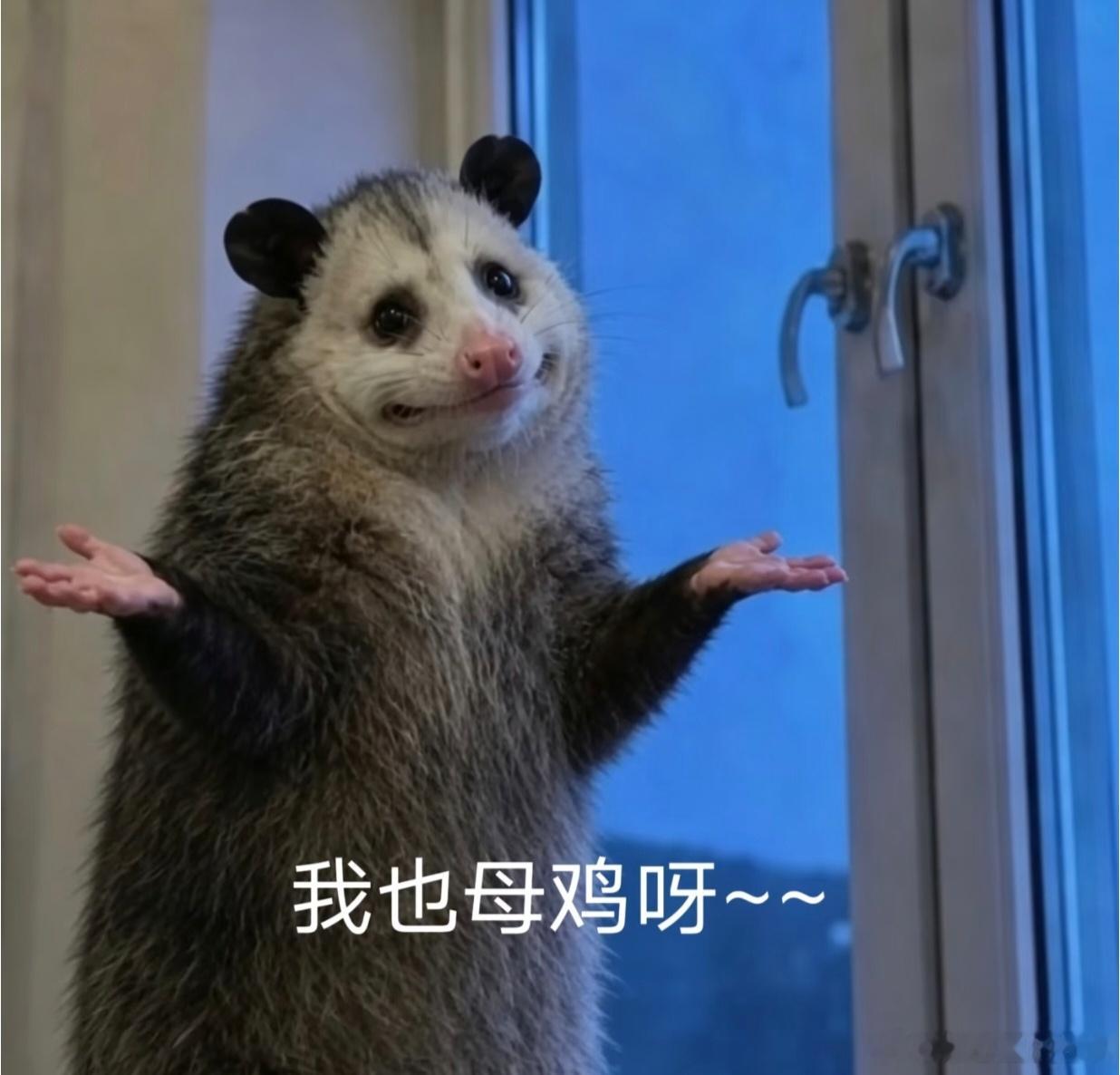 为何全球出生人口持续缩减不知道啊，只知道💰难挣💩难吃，养自己都难，谁爱生谁生