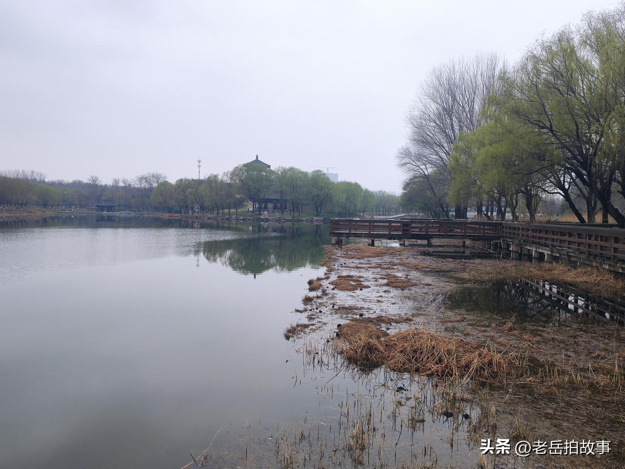 雨后晨拍春雨过后的郑州市西流湖公园早晨，昨天下了几乎一天一夜的小雨，早晨五点起来