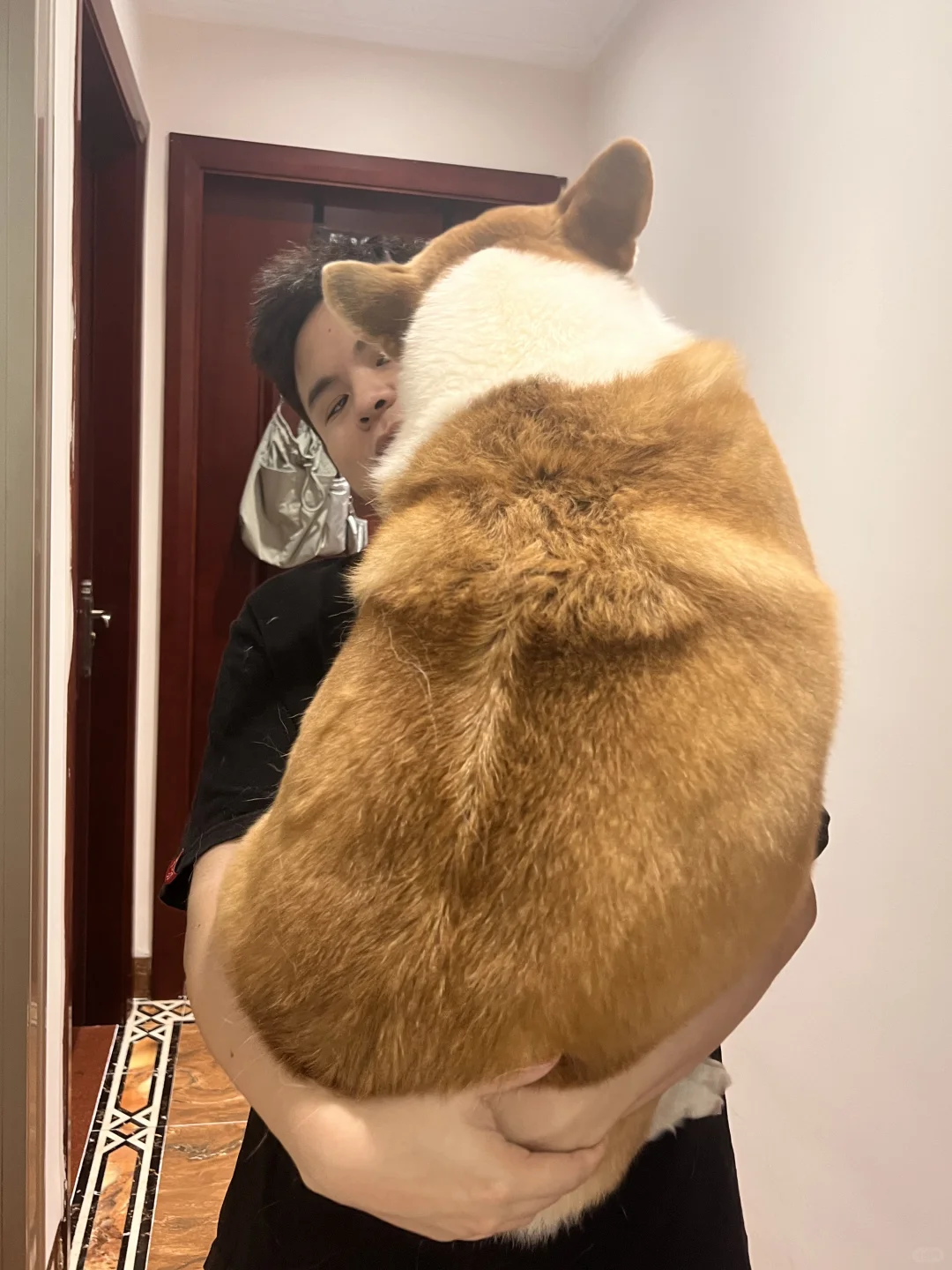 今日份硬拉20kg成功