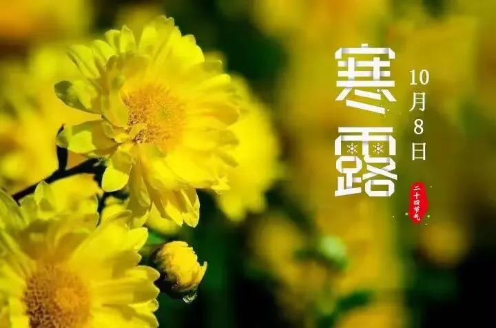 《咏菊》
黄花何惧夜寒霜，
傲骨风姿压众芳。
香气引来千里马，
凭栏怜我百般伤。