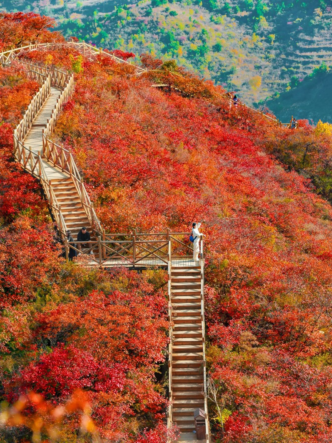 10.25北京现在可赏秋地🍁合集❗️都已满山红