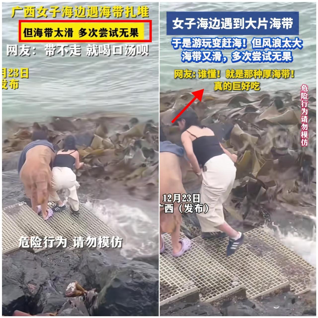 “解释不清了！”

广西俩姑娘海边偶遇一大片海带，当场化身
“野生干饭人”，拽着